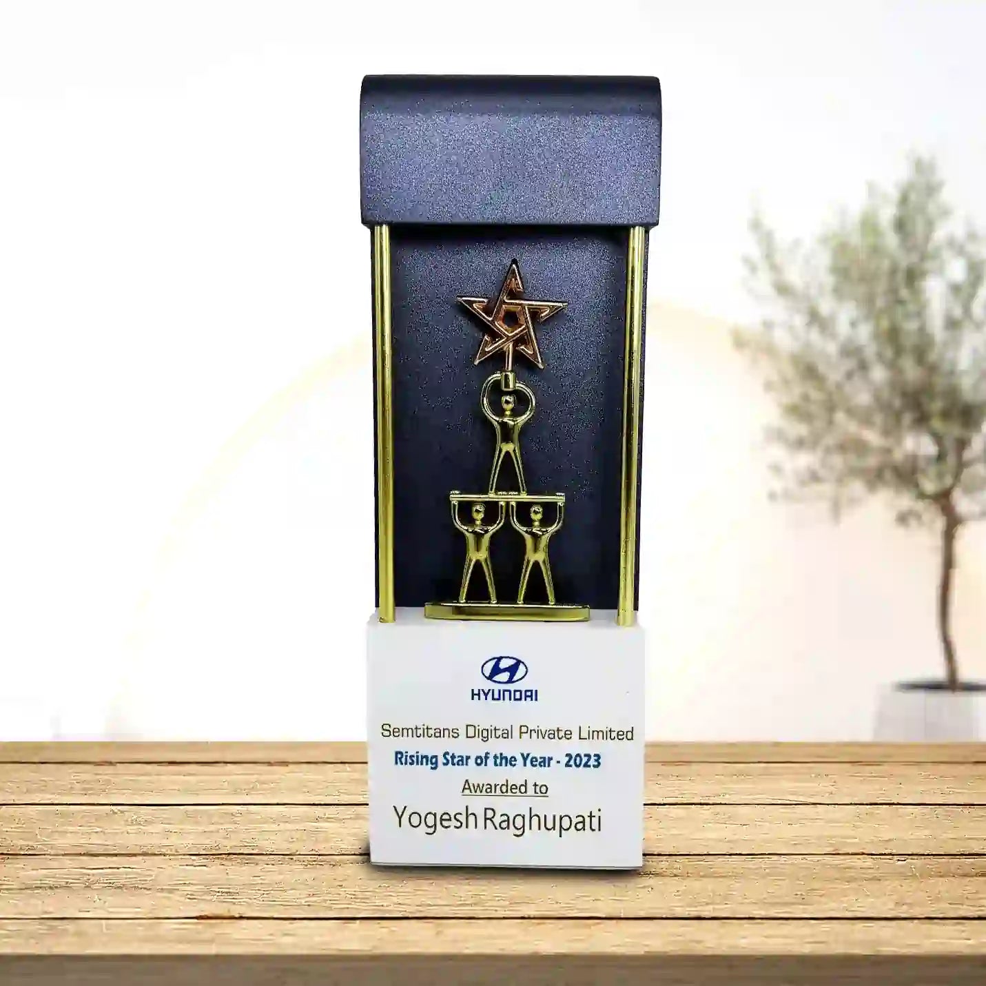 Elite Triumph Human & Star Corporate Wooden Trophy